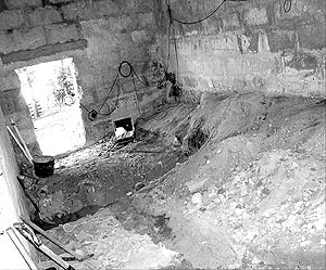 20060128110310-ehsql.jpg